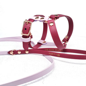 Standard Harness Y-style