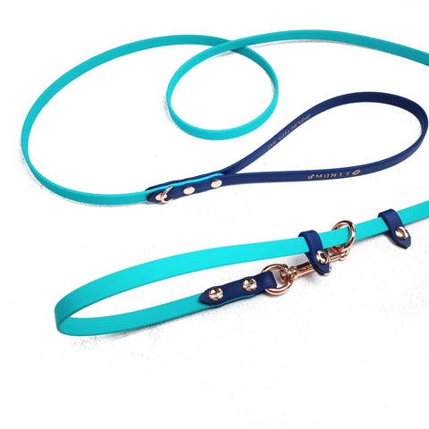 Skinny Versa Leash (Previously slip leash)