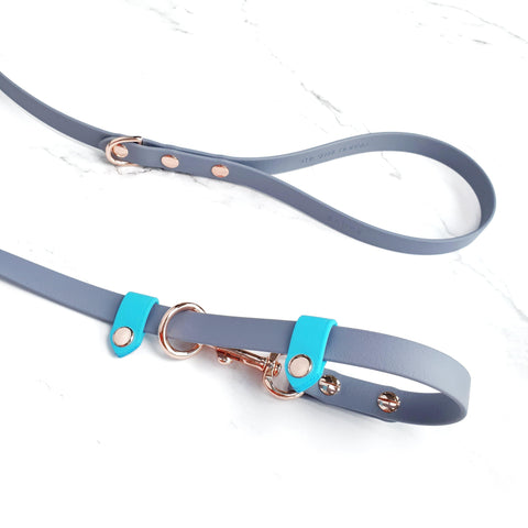 Standard Slip Leash