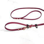 Skinny Slip Leash