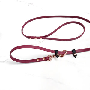 Skinny Slip Leash