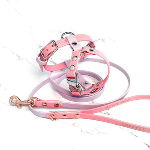 Standard Harness Y-style