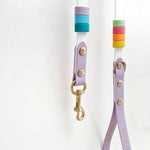 Rainbow Standard Classic Leash