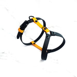 Standard Harness Y-style