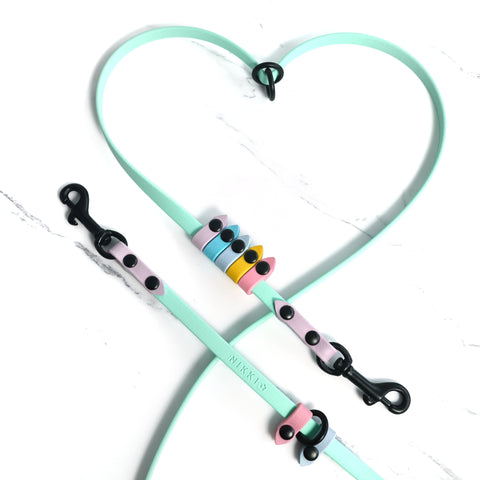 Rainbow Skinny Cruiser Multi-way Leash