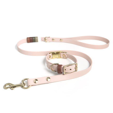 Rainbow Standard Classic Leash