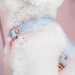 Standard Harness Y-style