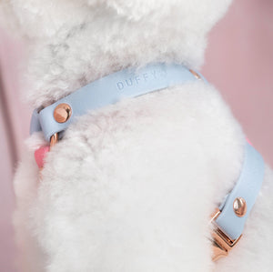 Standard Harness Y-style