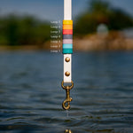Rainbow Standard Classic Leash