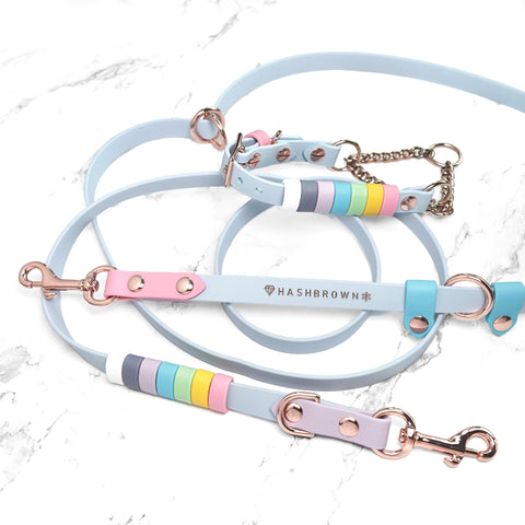 Rainbow Standard Cruiser Multi-way Leash