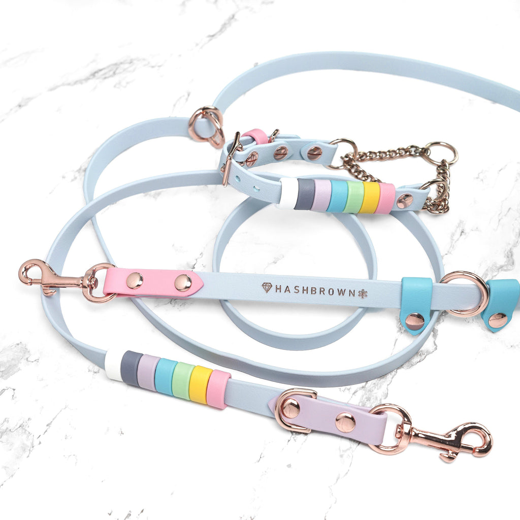 Rainbow Standard Cruiser Multi-way Leash