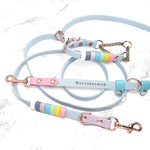 Rainbow Standard Cruiser Multi-way Leash