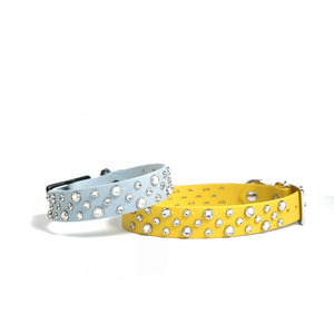 Vanity Thicc Crystal Classic Collar