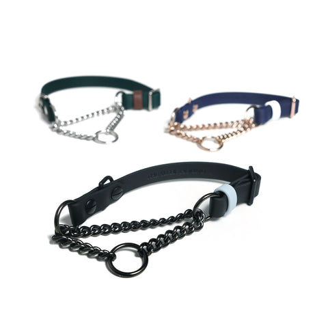 Adjustable Martingale Collar