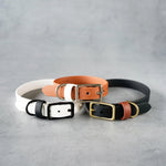Classic Collar
