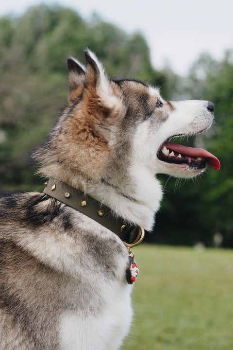 Crystal Collar Custom