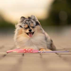 Skinny Slip Leash