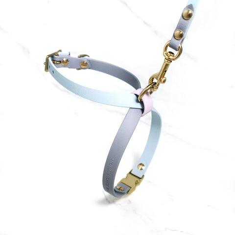 Xen Harness Standard
